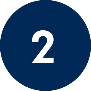 Icône 2