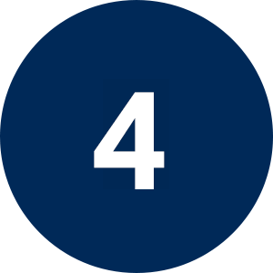 Icône 4