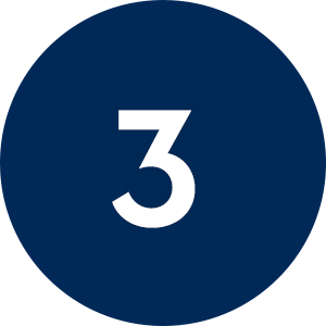 Icône 3