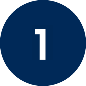 Icône 1