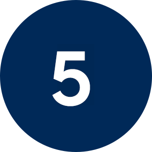 Icône 5